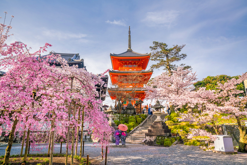 Japan Travel 2026: Why Japan Is Trending & How to Plan Your Trip
